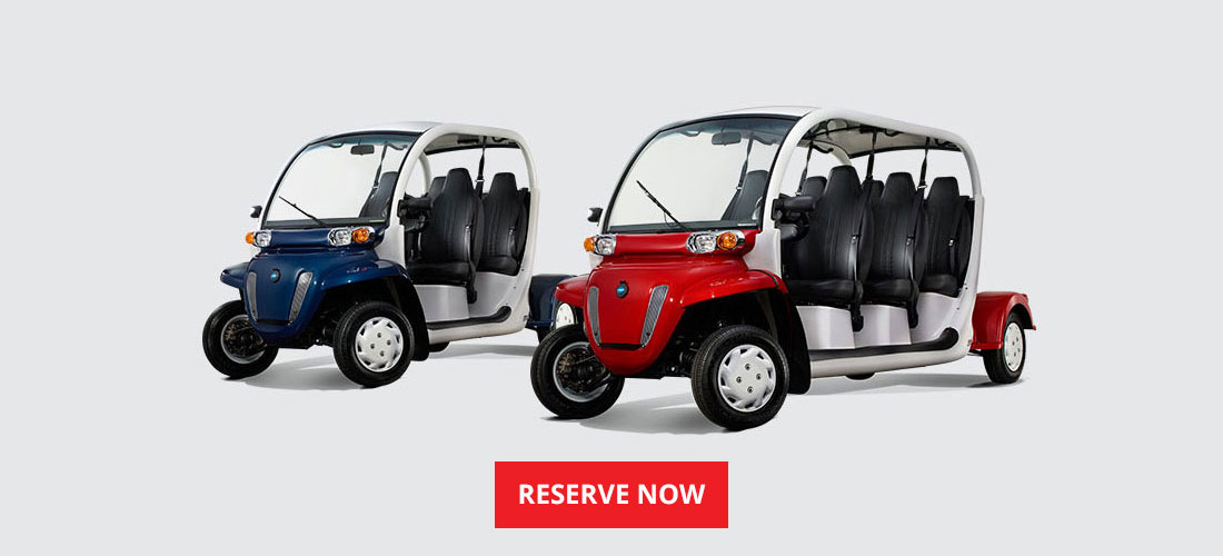 Ride in style with Ami Beach Buggys